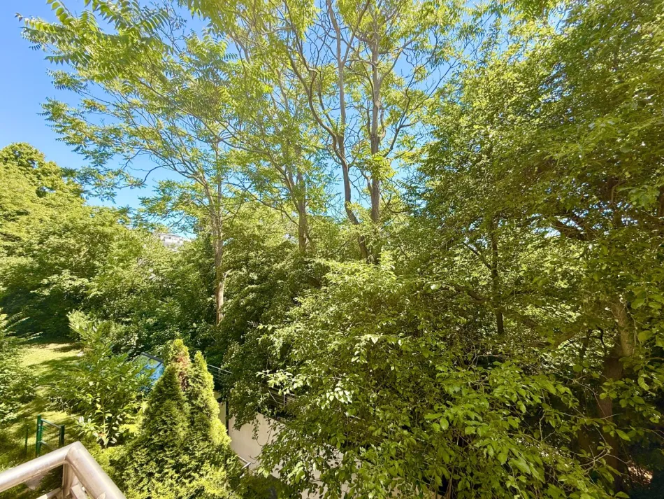 Blick vom Balkon