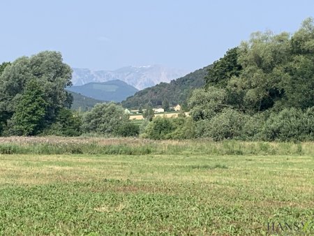 WILLENDORF - Großes Land- und Forstwirtschaftsgrundstück mit ertragreichem Boden
