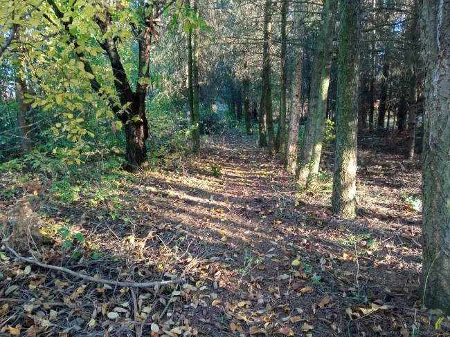 Naturparadies