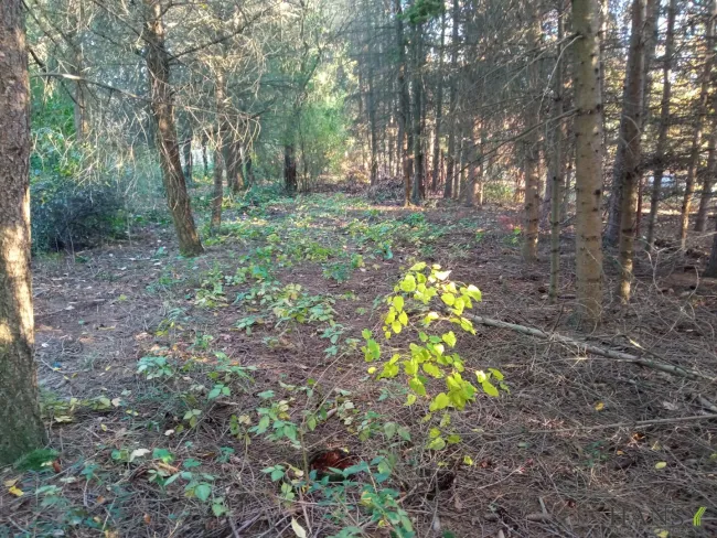Naturparadies