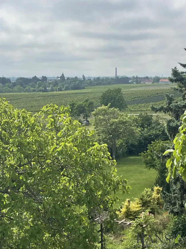 Großzügiges Baugrundstück 2059 m² in Sooß, Niederösterreich – Ihr Traum vom Eigenheim! - Bild