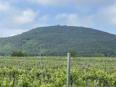 Großzügiges Baugrundstück 2059 m² in Sooß, Niederösterreich – Ihr Traum vom Eigenheim!