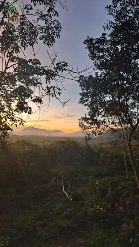 *Sri Lanka* Ayurveda, Yoga, Leben: Gestalten Sie Ihr Herzensprojekt auf 7,5 Hektar Natur pur. - Bild