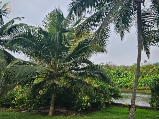 *Sri Lanka* Ayurveda, Yoga, Leben: Gestalten Sie Ihr Herzensprojekt auf 7,5 Hektar Natur pur. - Titelbild