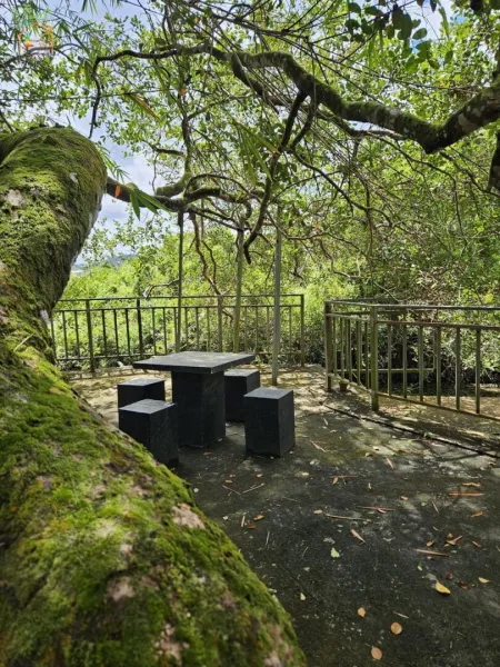 *Sri Lanka* Ayurveda, Yoga, Leben: Gestalten Sie Ihr Herzensprojekt auf 7,5 Hektar Natur pur.