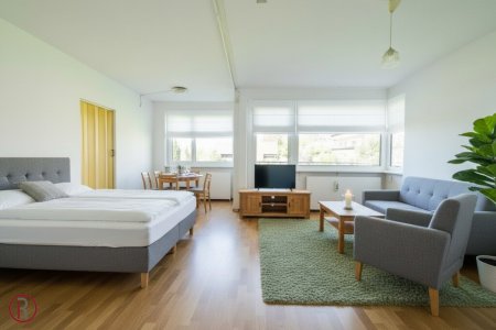 Helle Garconniere mit sonnigem Balkon, renoviertem Badezimmer und Blick auf Blumenwiesen in Arzl