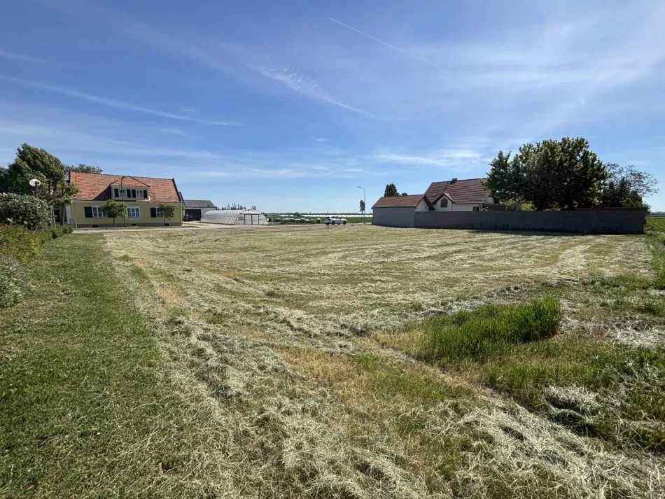 Zwei nebeneinanderliegende Baugrundstücke in Tadten - 703 u. 705 m2 - Bild