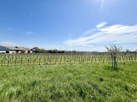 Aufschließungsgebiet in Jois - Investoren aufgepasst