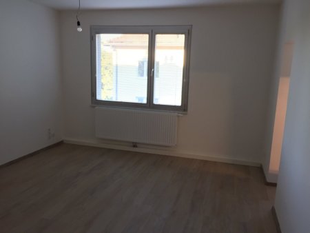 geräumige Mietwohnung
