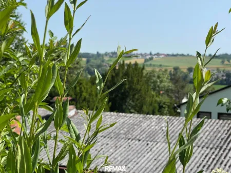Ausblick