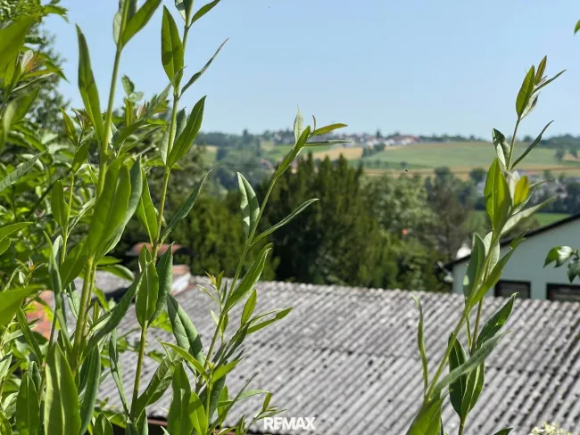Ausblick