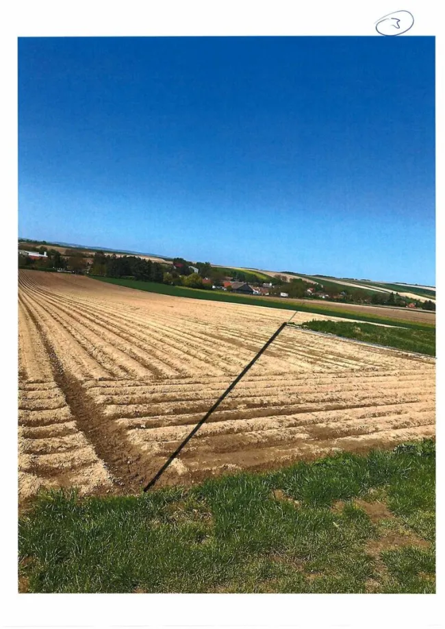 Acker in Bruderndorf - Titelbild