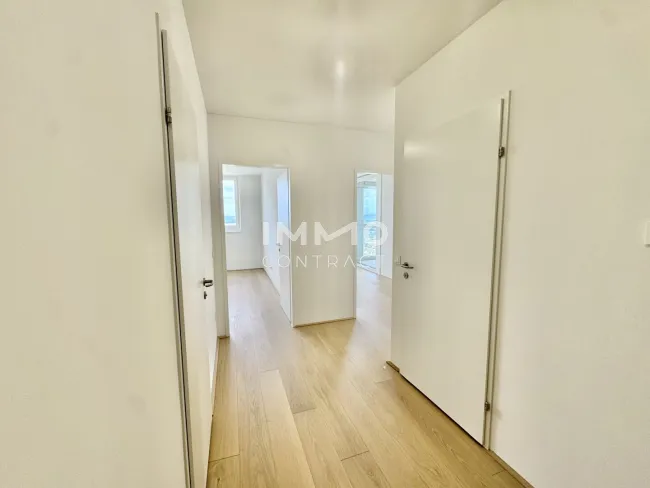 image8