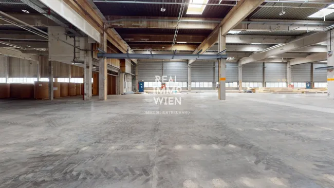 Großzügiges Lager mit Freifläche in zentraler Lage von Traiskirchen - ideal für Industrie und Gewerbe. - Titelbild