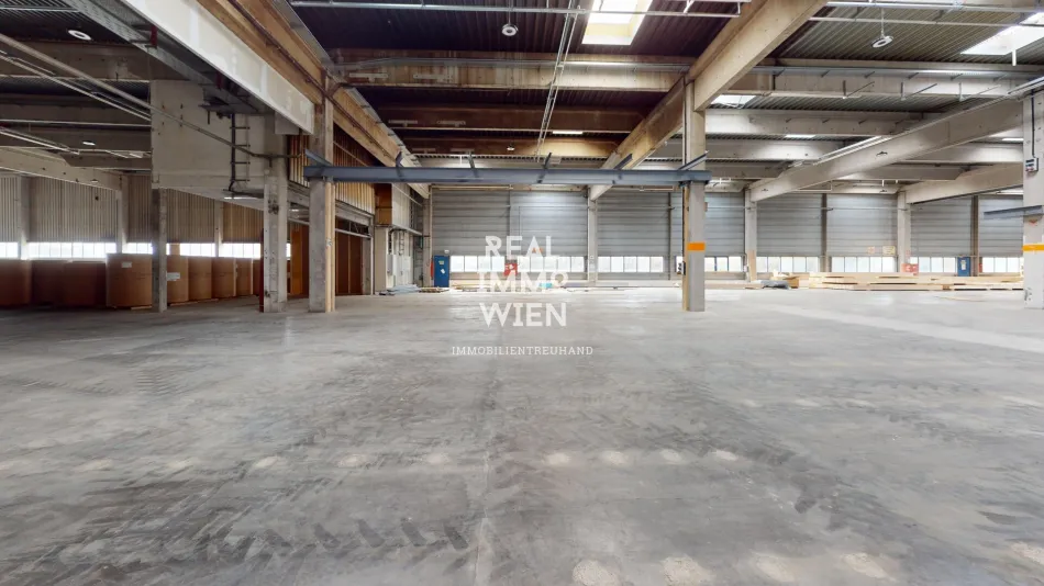 Großzügiges Lager mit Freifläche in zentraler Lage von Traiskirchen - ideal für Industrie und Gewerbe. - Titelbild