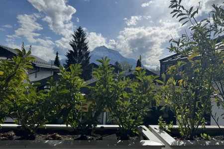 Aussicht