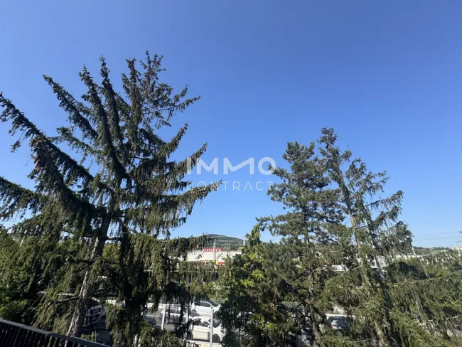 Ausblick