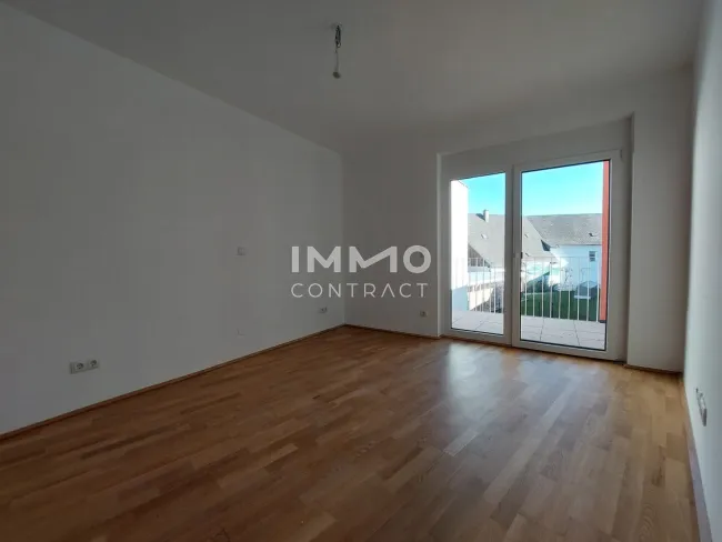 Zimmer1