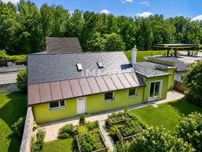 VOGEL_GARTEN