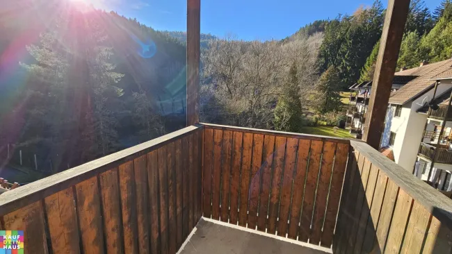 1 ZIMMERWOHNUNG MIT BALKON IN ABSOLUTER RUHELAGE - Titelbild