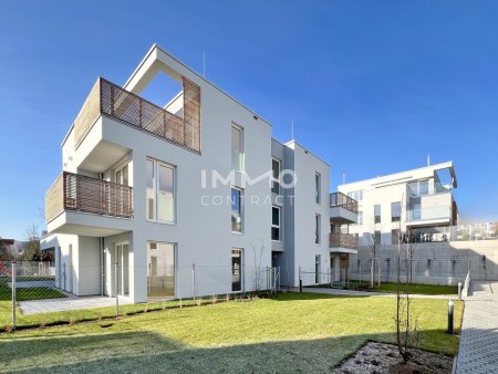 DSH_7906 Kopie