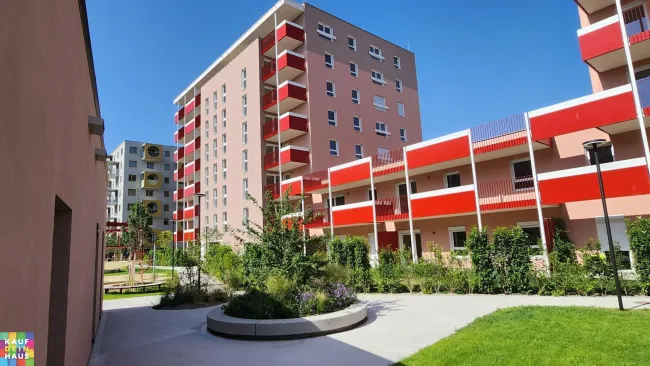 JONAS AM FELD! HOLEN SIE SICH EINE DER LETZTEN FREIEN EINHEITEN! - Titelbild