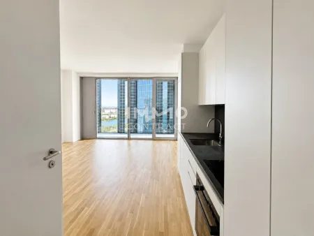 Kahlenberg & Sonnenuntergang: 34. Etage DC2 Tower - Erstbezug