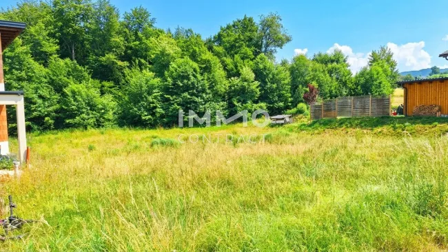Baugrundstück 914m² in Steinakirchen am Forst – Ihr Traum vom Eigenheim wartet! - Titelbild