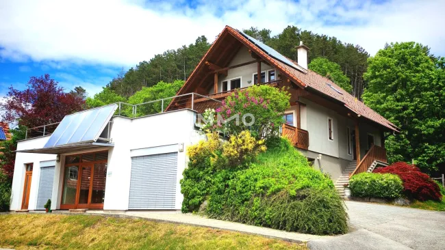 Haus