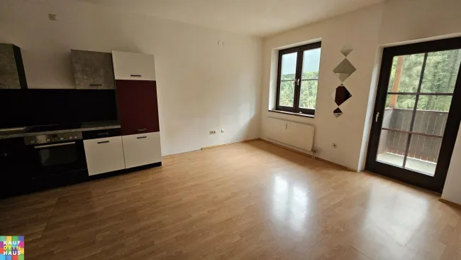 Schöne 1-Zimmerwohnung in ruhiger, "grüner" Lage neben dem Stift Rein - Bild