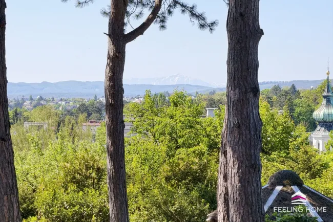 Wohnen mit Geschichte: Villa mit spektakulärer Aussicht bis zum Schneeberg im lebenswerten Grinzing! - Bild