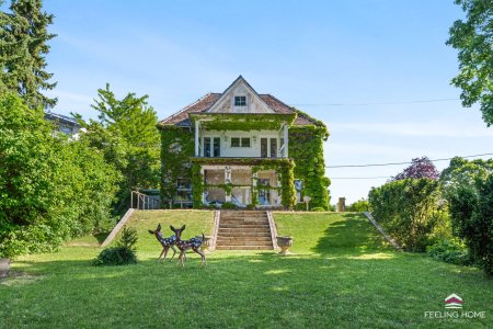Wohnen mit Geschichte: Villa mit spektakulärer Aussicht bis zum Schneeberg im lebenswerten Grinzing!