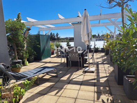 Terrasse 3