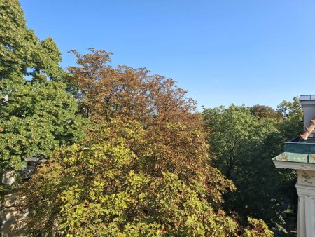 Einzigartige Gelegenheit in Hietzinger Bestlage!
