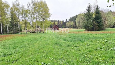 Großes Grundstück mit Fischteich und Badeteich, Erholungsanlage, Freizeitparadies mit viel Potenzial