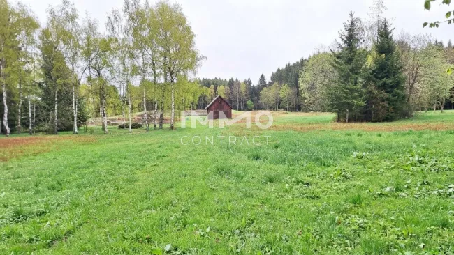 Großes Grundstück mit Fischteich und Badeteich, Erholungsanlage, Freizeitparadies mit viel Potenzial - Titelbild