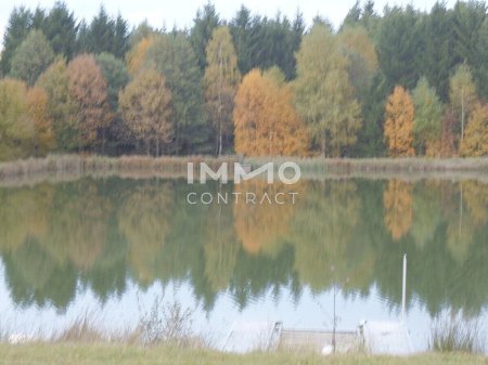 Großes Grundstück mit Fischteich und Badeteich, Erholungsanlage, Freizeitparadies mit viel Potenzial