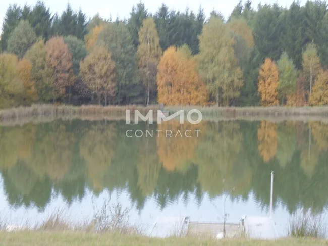 Großes Grundstück mit Fischteich und Badeteich, Erholungsanlage, Freizeitparadies mit viel Potenzial - Bild