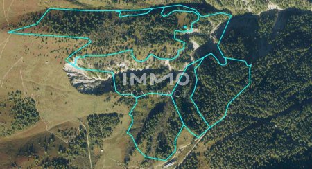 Waldparzellen am Fuße des Großglockners