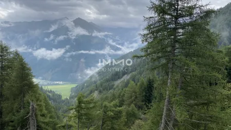 Waldparzellen