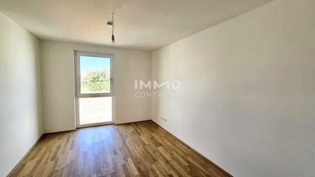 Zimmer 2