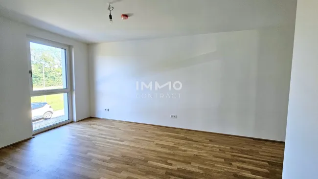 Zimmer 1