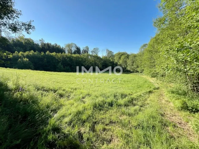 Erholung pur im eigenen Wald mit Bach und Wiesen nähe Amstetten - Bild