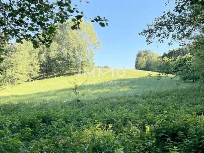 Erholung pur im eigenen Wald mit Bach und Wiesen nähe Amstetten - Bild