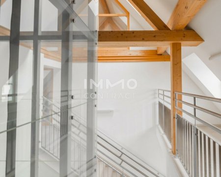 Außergewöhnliche Ordinationsfläche in revitalisiertem Schloss nahe Wien