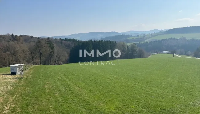 Natur pur mit Weitblick - Titelbild