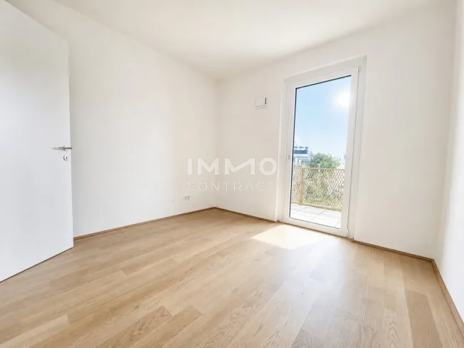 ZIMMER_2