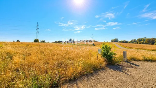 Baugrund mit 926 m² in bester Lage von Wieselburg-Stadt - Bild