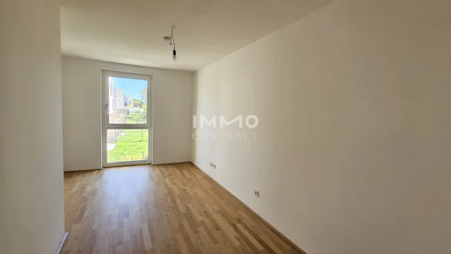 Zimmer 2