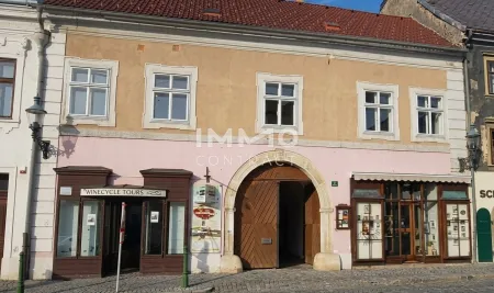 EHEMALIGES WINZERHAUS IM ZENTRUM VON LANGENLOIS